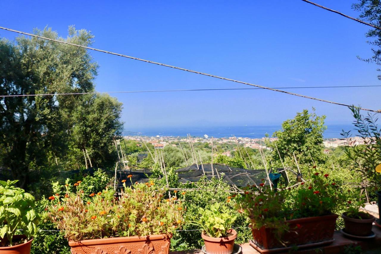 Traulivi Country House Meta Exterior photo